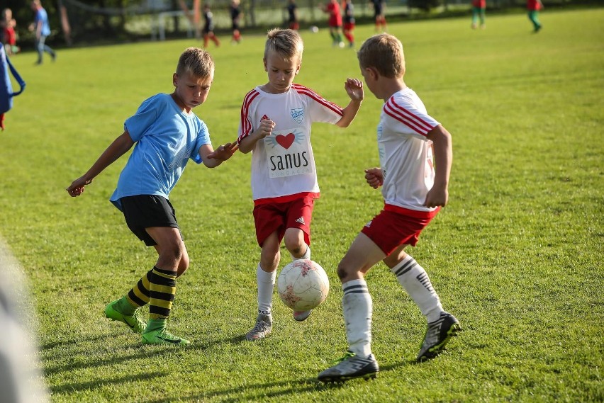 Grudziądzkie kluby sportowe otrzymają pieniądze na treningi dla dzieci z rządowego programu "Klub"