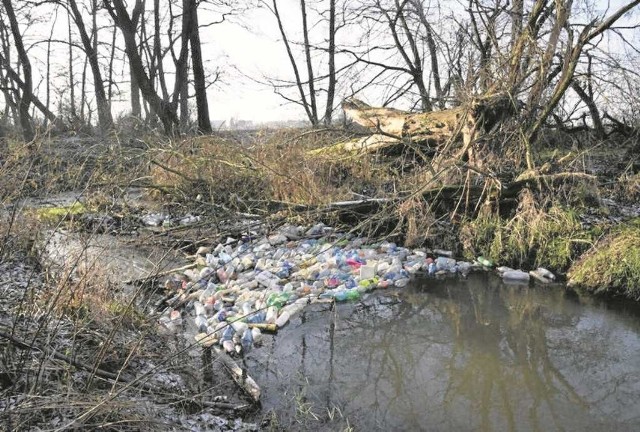 Śmieci płyną z nurtem rzeki i zatrzymują się np. konarach drzew czy gałęziach