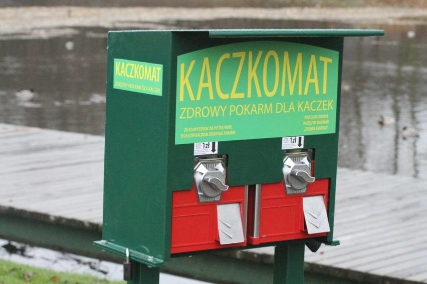 Pierwszy w Polsce "Kaczkomat" stanął w Złotowie!