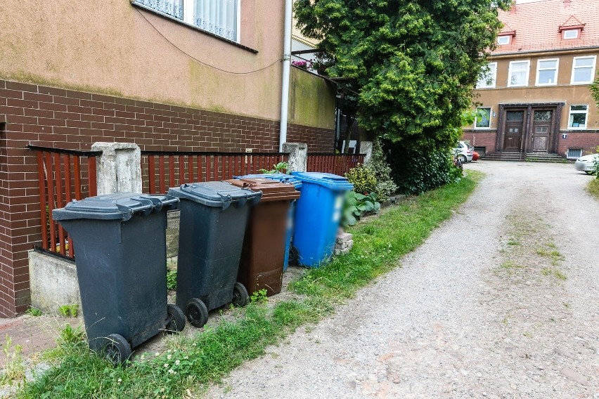 Nowe zasady segregacji śmieci w Szczecinie. Są dobre i gorsze wiadomości 