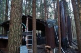 Leśna bimbrownia spod Michałowa została zlikwidowana. Nielegalny alkohol był dobrze ukryty (zdjęcia)