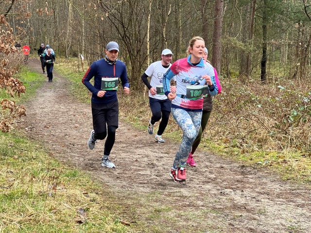 Biegacze na leśnej trasie zawodów #RunGdn Sobieszewo 2024