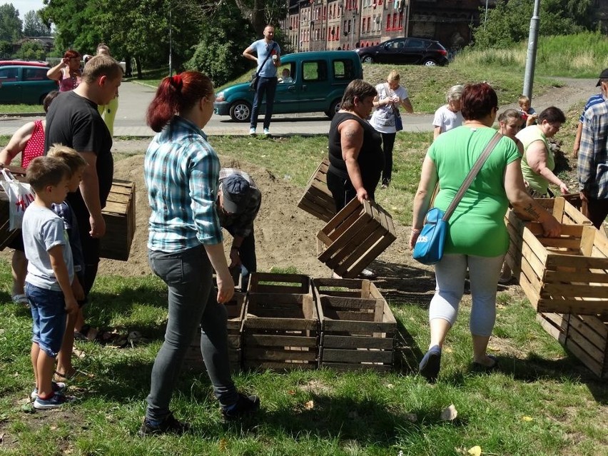 Ruda Śląska: Na Kaufhausie powstaje ogród społeczny