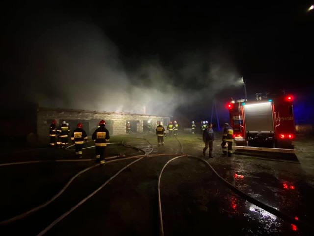 Z ogniem walczyło ponad czterdziestu strażaków z dziesięciu zastępów zawodowej i ochotniczej straży pożarnej.