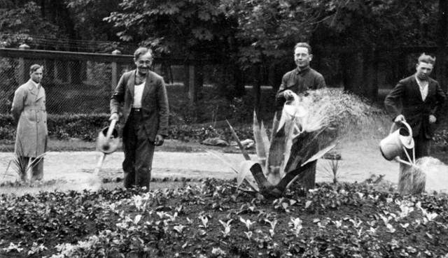 Klomb na Plantach przy ulicy Legionowej. 1934 rok. Ze zbiorów Muzem Podlaskiego w Białymstoku. 