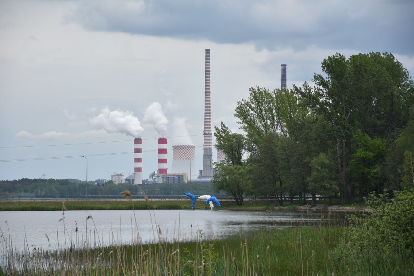 Pniowiec to nie tylko plaża! W zimie będą biegówki! Spacer...