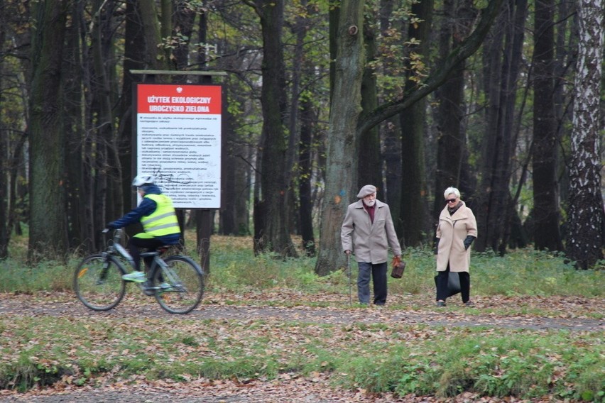 Tak wygląda park Zielona w jesiennych barwach