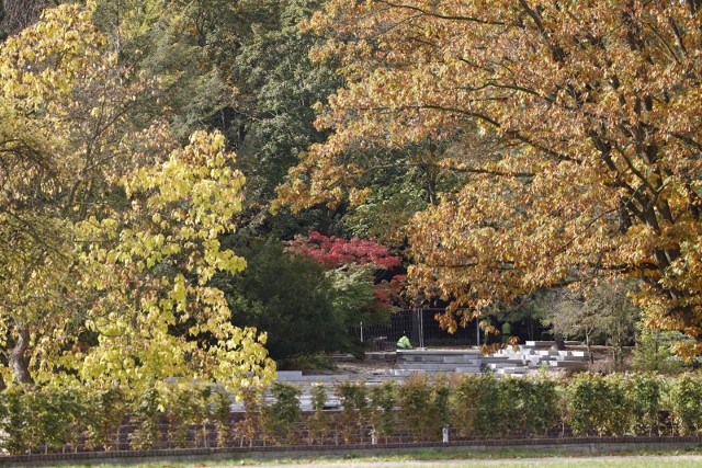 Park Śląski jest doskonałym miejscem na spacer o każdej porze roku, jednak w październiku ta niesamowita przestrzeń wypełnia się pełną paletą barw