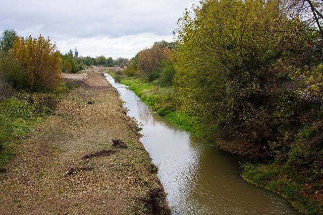 Tak wyglądała rzeka Kamienna w trakcie prac, prowadzonych na zlecenie Wód Polskich. Na lewym brzegu - po zakończeniu robót, na prawym - przed ich rozpoczęciem. Koszt inwestycji - 120 tysięcy złotych.