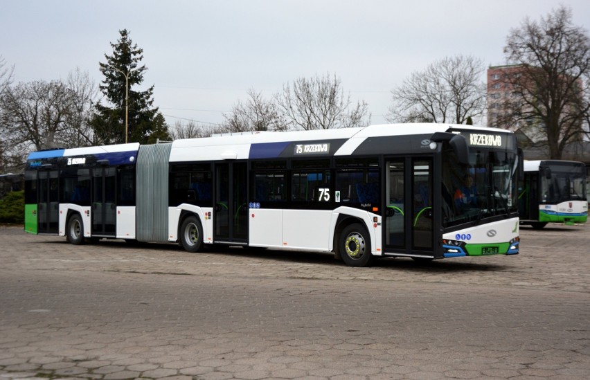 Kolejne autobusy hybrydowe w Szczecinie. Zaczną kursować jeszcze w tym roku