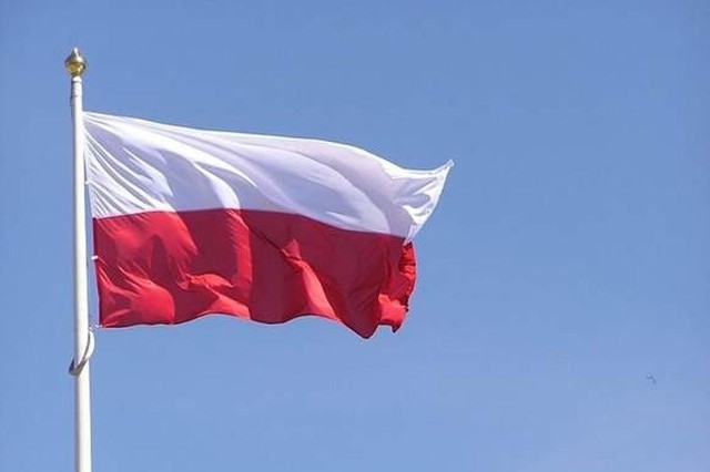 Narodowe Święto Niepodległości to mnóstwo wydarzeń w całym kraju. Do obchodów włączyło się Google