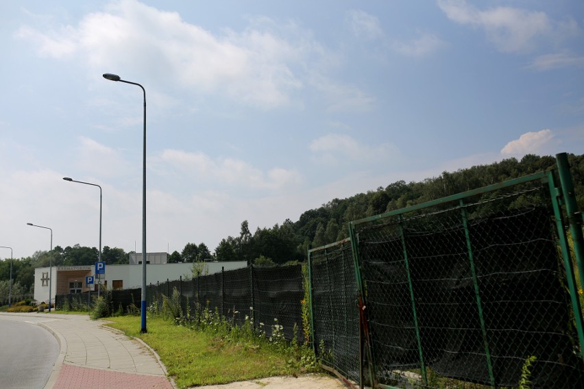 Budowa cmentarza w Podgórkach Tynieckich. Leśnicy walczą o cenne grunty