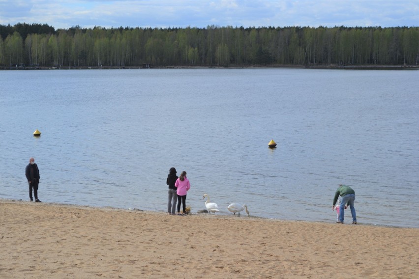 Udostępnienie lasów, parków  i plaż dla spacerowiczów...