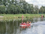 Martwe ptaki w polderze Buków! Trwa akcja m.in. Wód Polskich. Truchła ptaków pojawiły się też w rezerwacie Łężczok