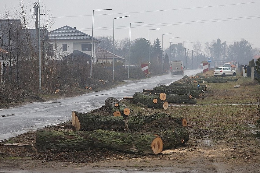 Wycięto 64 drzewa przy drodze z Łodzi do Wiączynia Dolnego.