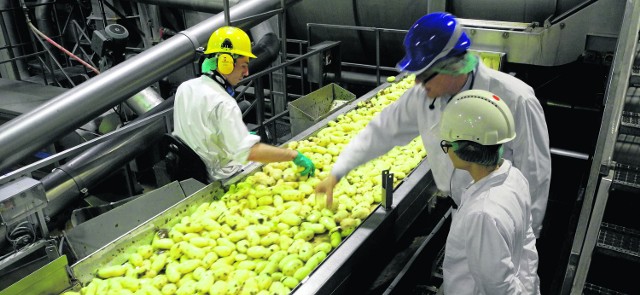 McDonald&#039;s nagrodził lęborski Farm Frites Farm Frites Poland jest jednym z największych pracodawców w Lęborku. Zimniaki, które są tu przetwarzane, pochodzą od okolicznych rolników.