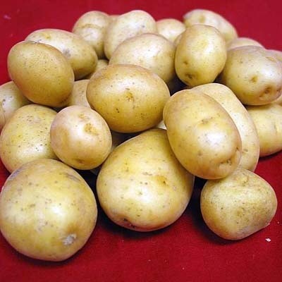 Pierwszoplanową rolę w przepisie odgrywają ziemniaki.