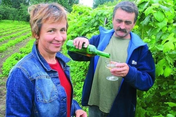 Teresa i Tomasz Gołębiewscy wino gronowe robią od wielu lat. Teraz zastanawiają się nad rozbudową winnicy.