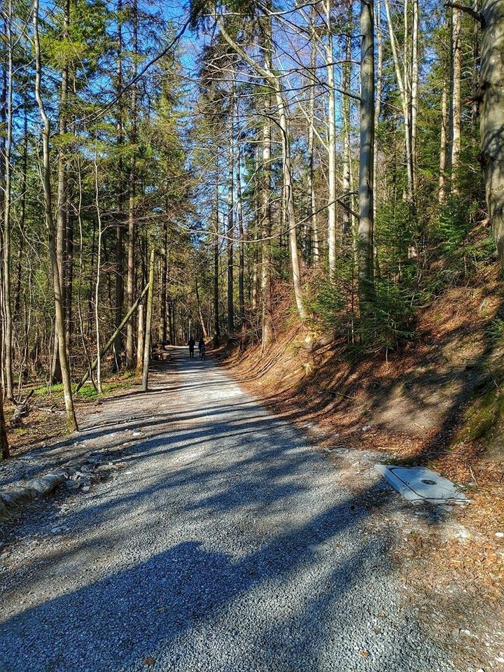 Tatry. Zobacz jak wygląda Dolina Strążyska po kwarantannie. To tam możemy legalnie wejść 