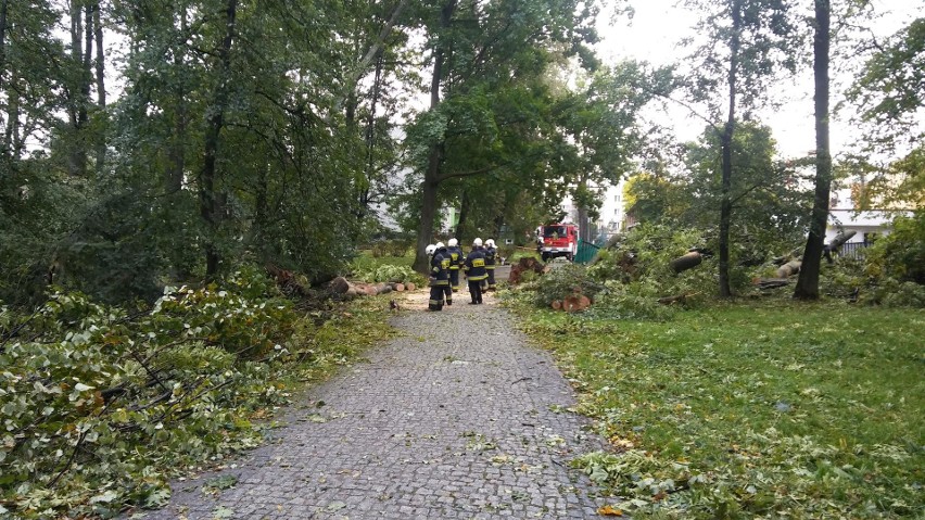 Park żywiecki został zniszczony przez orkan Ksawery nawet w...