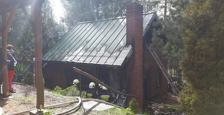 Becejły. Pożar domku letniskowego gasiły trzy zastępy strażaków (zdjęcia)