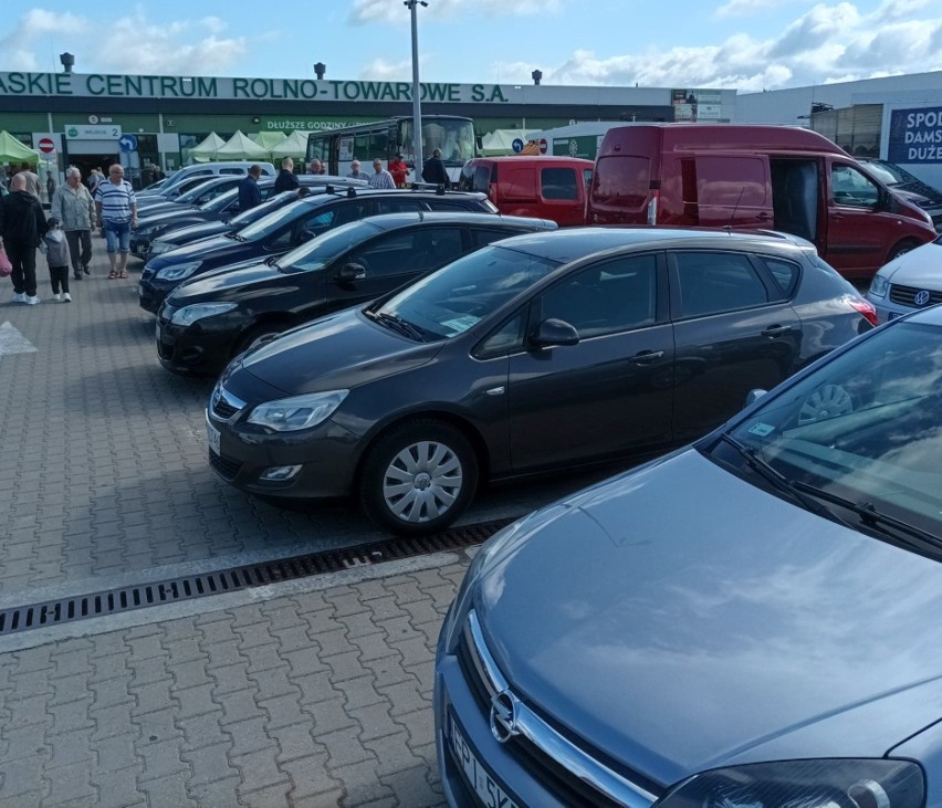 Białystok. Giełda samochodowa. Takie auta można było oglądać i kupić w niedzielę 24.07.2022 na placu przy Andersa (zdjęcia)