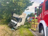 Wypadek w Lipnicy w gminie Dębowa Łąka w powiecie wąbrzeskim. Kierowca ciężarówki wjechał w drzewo