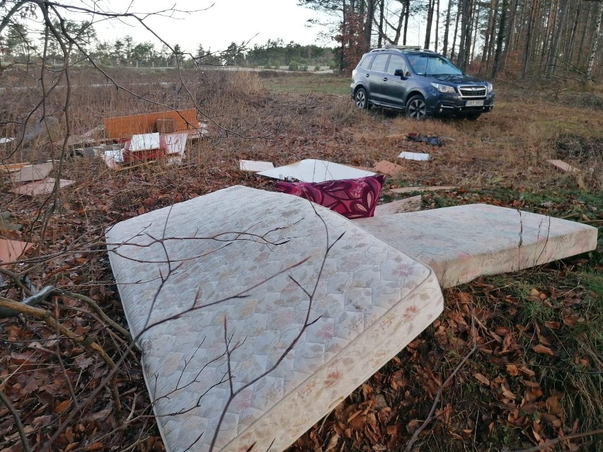 Leśnicy z Nadleśnictwa Bytów proszą o pomoc w znalezieniu...