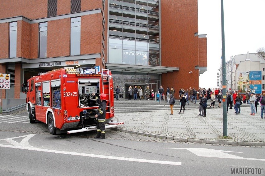 Trzy zastępy strażaków brały udział w gaszeniu samochodu...