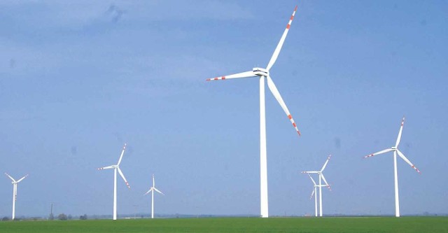 Bez nowej linii w Wolinie nie będą mogły powstawać kolejne farmy wiatrowe, bo nie ma możliwości odbioru energii. Kiedy powstanie nowaliniia, sytuacja się zmieni. Na zdjęciu farma wiatrowa Zagórze nieopodal Wolina. Składa się z 15 turbin wiatrowych o mocy 2 MW każda.