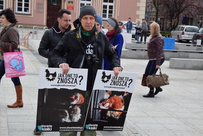 Częstochowa: Protest przeciwko hodowli kur w klatkach ZDJĘCIA