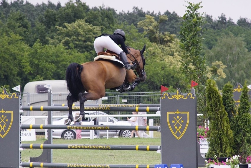 Grand Prix międzynarodowych zawodów jeździeckich w skokach...