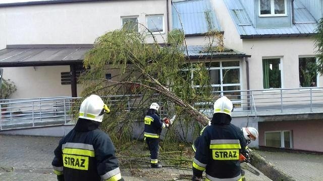 Orkan "Grzegorz" w powiecie krakowskim spowodował straty