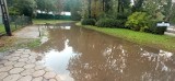 Potężna ulewa w Malborku. Jej skutki to zalane ulice, połamane drzewa