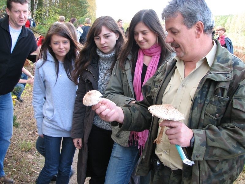 Mistrzostwa w zbieraniu grzybów w lasach kolo Kleszczel