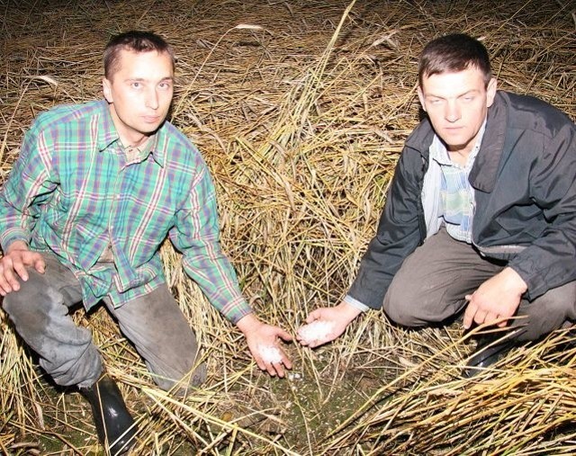 (Od lewej) Piotr Ciechanowski i Grzegorz Piekarski cztery godziny po nawałnicy