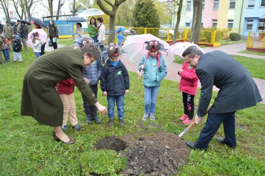 Akcja "1000 drzew na minutę" w Staszowie