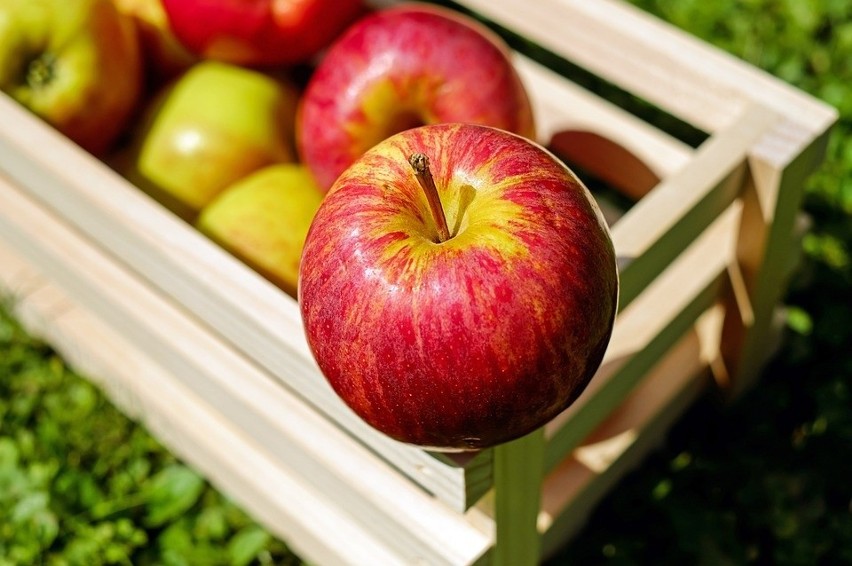 Jabłko, to nie tylko moc witamin, ale także źródło cennego...