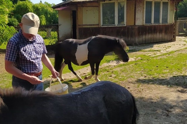 Niepełnosprawni z Warsztatu Terapii Zajęciowej w Kałkowie opiekują się zwierzętami z Mini ZOO