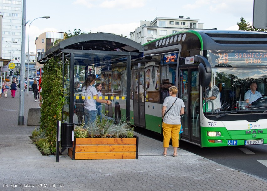 Białystok. W centrum miasta powstał kolejny zielony przystanek (zdjęcia)