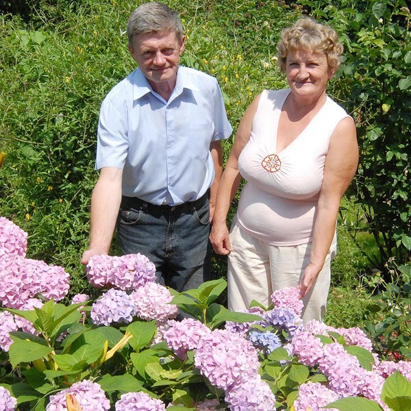 Helenę i Emila Fajgierów ogród pochłania bez reszty.