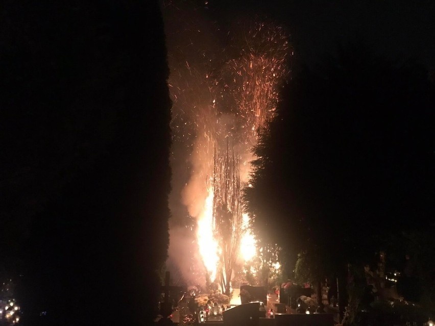 Dolny Śląsk: Pożar na cmentarzu. Zaczęło się od znicza, płomienie sięgały 30 metrów! [ZDJĘCIA]