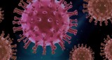 To nie koniec pandemii koronawirusa. Ekspert ostrzega przed „frankenwariantami”