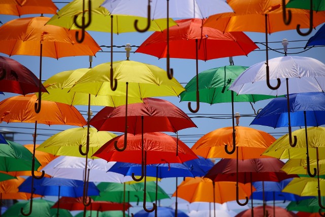 Możemy wybierać we wszystkich kolorach tęczy, kropkach, paskach i motylkach. Ważny jest też rozmiar parasolki. Są malutkie, leciutkie wprost do damskiej torebki, po ogromne parasole pod którymi mieści się cała rodzina.