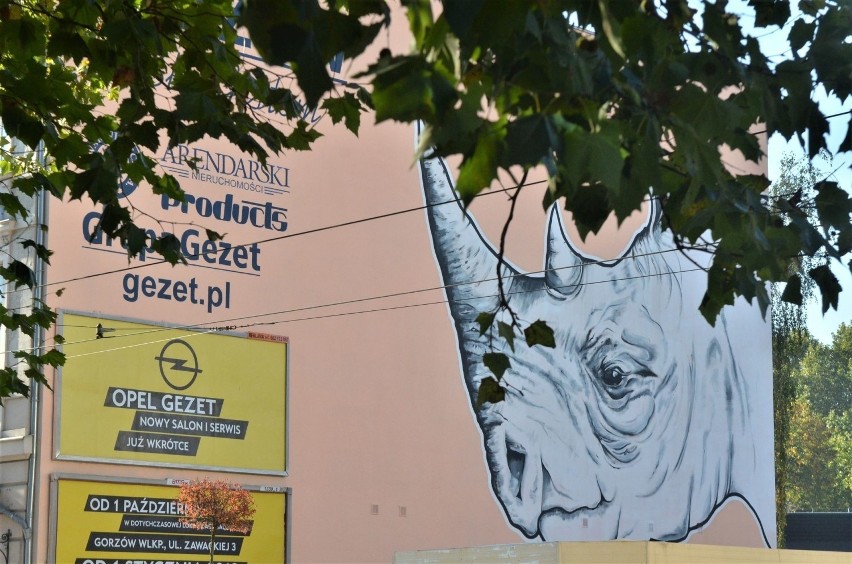 Mural z ogromnym wizerunkiem nosorożca znajduje się na...