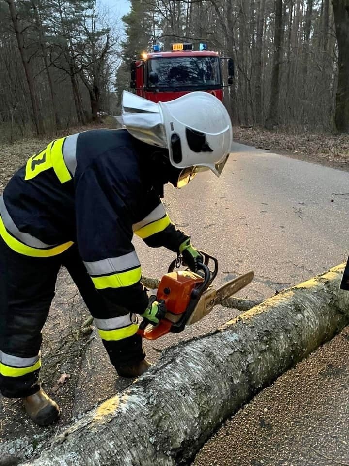 Strażacy ochotnicy usuwają drzewa blokujące jezdnie w Borach...
