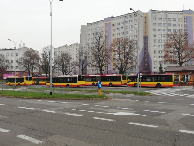 Poniedziałek 25 listopada po południu. Wszystkie autobusy stoją z przepisowo wyłączonymi silnikami. "Rozmowy dyscyplinujące" wreszcie dały pozytywny skutek?