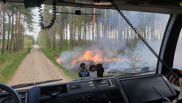 Kolejny pożar lasu w miejscowości Józefów. Dzień wcześniej strażacy interweniowali w tej samej miejscowości.Przejdź do kolejnego zdjęcia --->