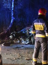 Wypadek w Stanisławiu Górnym. Samochód roztrzaskał się na drzewie, cudem nikt nie zginął