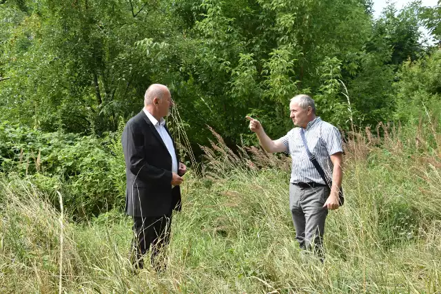 Sto lat temu w Prószkowie zanotowano rekordową temperaturę. Zobacz, jak wyglądają tereny tamtejszej Pomologii.